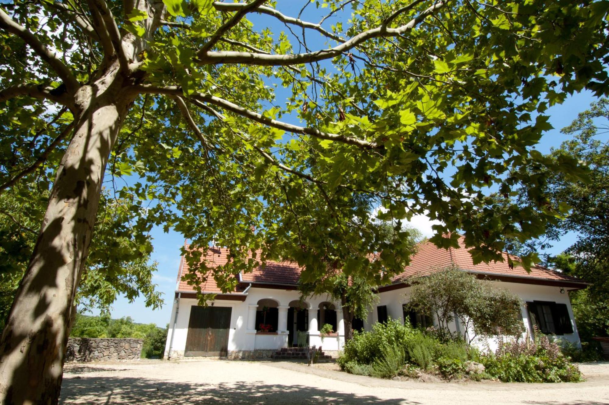 Somogy Kertje Ueduelofalu Es Etterem Bonnya Exterior foto